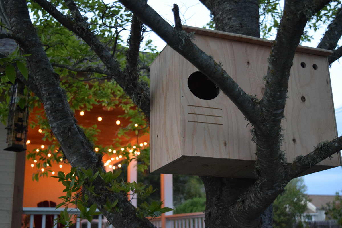 Sonoma County Owl Boxes