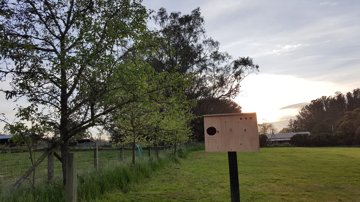 Sonoma County Owl Boxes