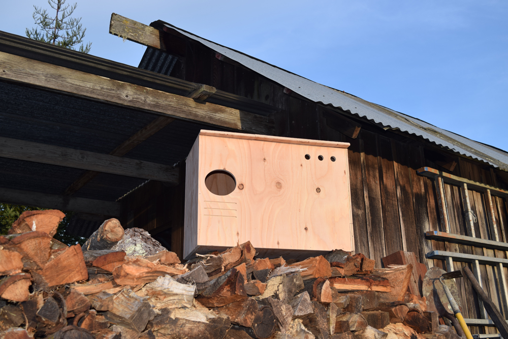 Sonoma County Owl Boxes