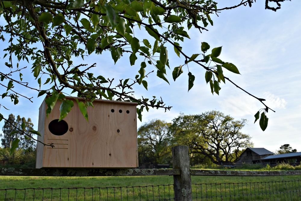 Sonoma County Owl Boxes