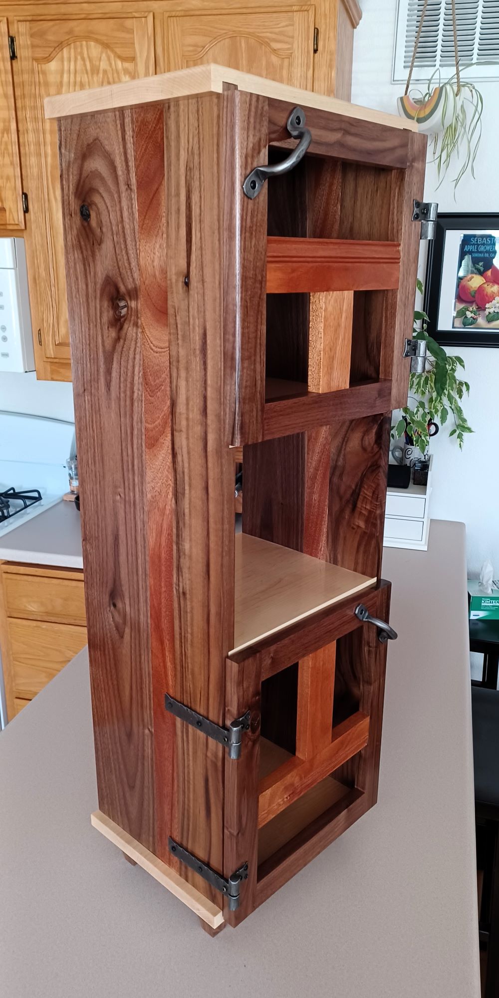 Walnut Magazine Case